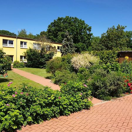 Ferienwohnung Ruegen In Samtens Extérieur photo
